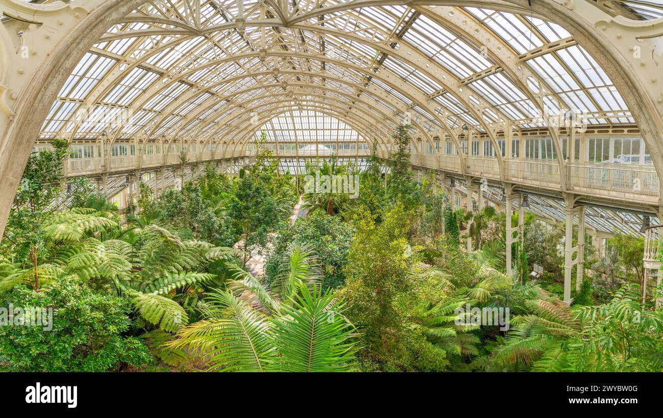 Kew, Richmond, UK; April 03, 2024 - The Temperate House was opened in May 1863, and is a Grade I-listed showhouse for the largest plants in Kew. Stock Photo