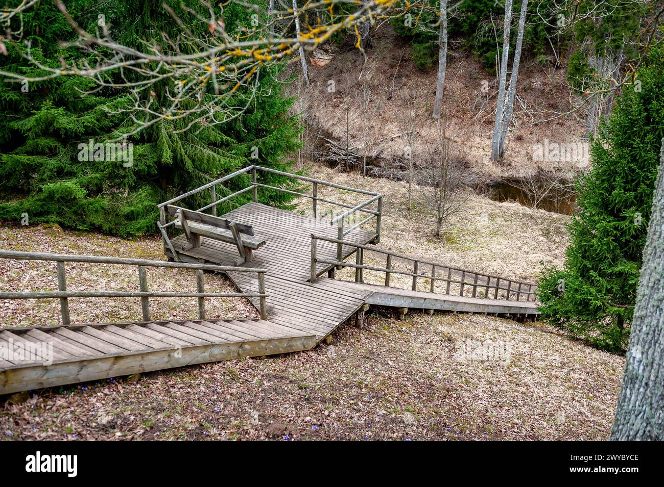 High wooden staircase leading to a picnic area. Vilce Nature Park ...