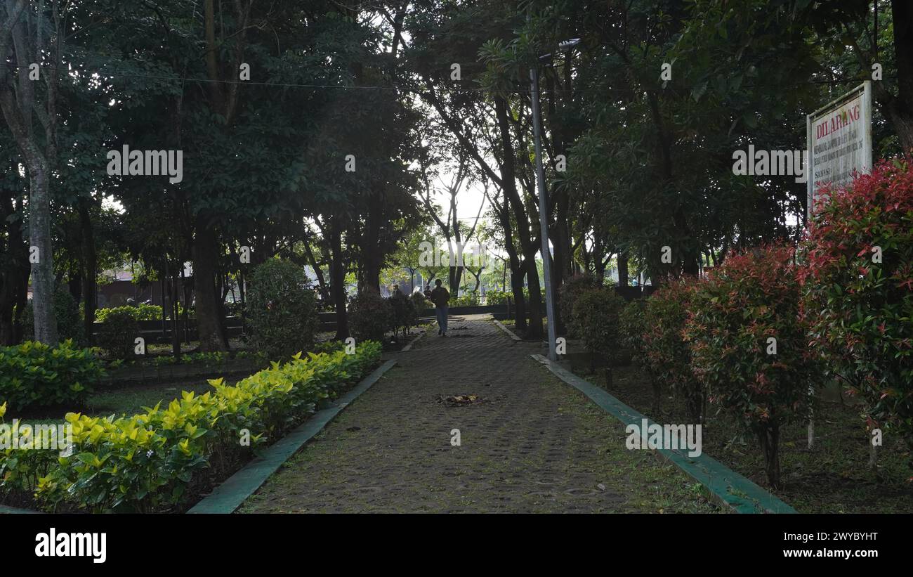 The paths in the Singha park Malang are surrounded by shady trees and