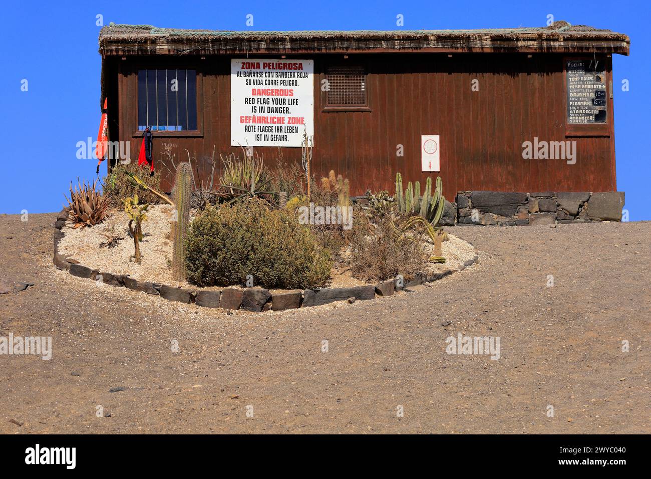 Small cactus garden in front of the lifeguard station, Piedra Playa surf beach, El Cotillo, Fuerteventura. Taken February 2024 Stock Photo