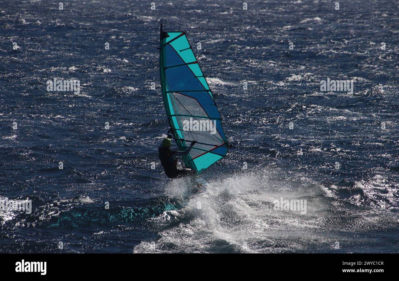 Windsurfer with blue sail against the blue Atlantic ocean sparkling in the sun (Tenerife Island, Spain) Stock Photo