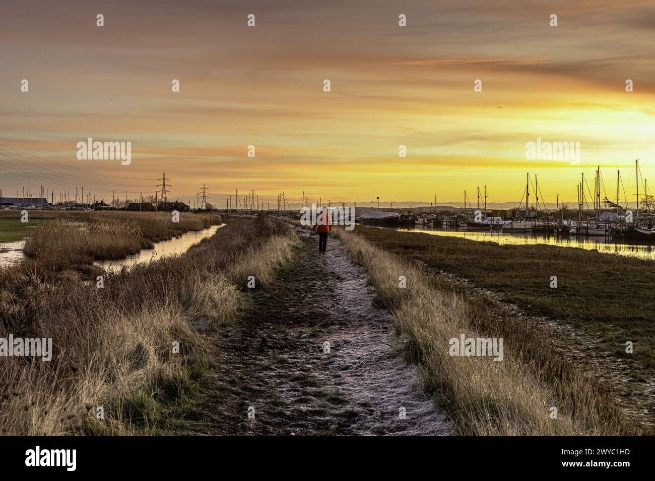 Views around Oare faversham kent sunrise pylons estuary mud flats water ...