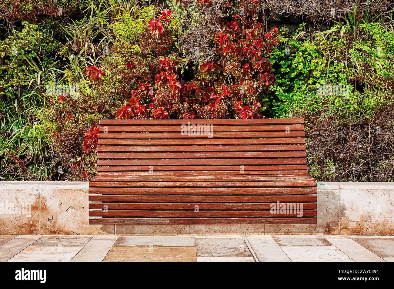 a wooden bench in Al Shaheed urban park in Kuwait City Stock Photo
