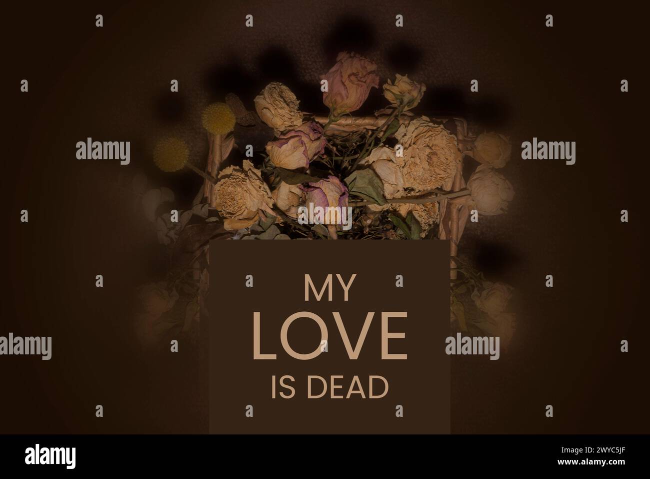 Happy flowers with text my love is dead. High quality photo Stock Photo