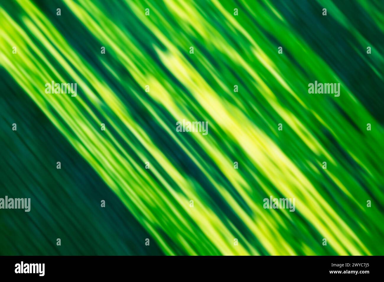 Green Leaf Texture, close up Stock Photo - Alamy
