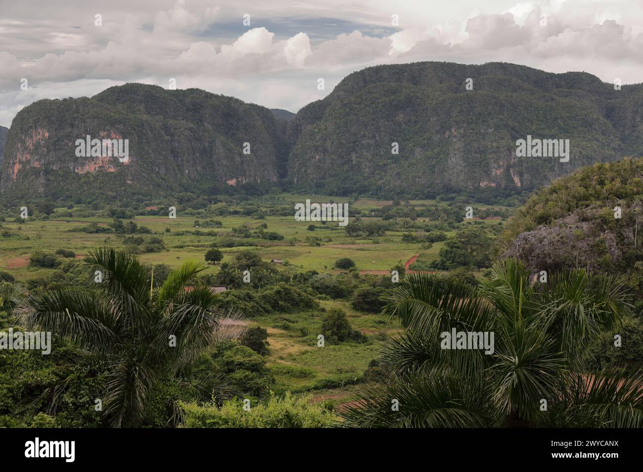 147 Karst landscape with domelike limestone outcrop mogote Dos Hermanas in the UNESCO World