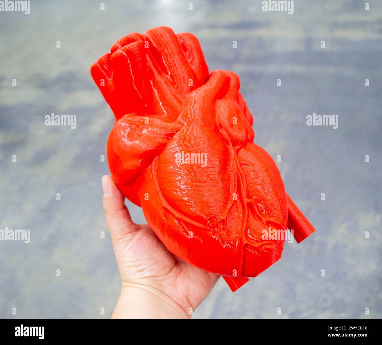 Person holding in hand prototype of human heart 3D printed from molten ...