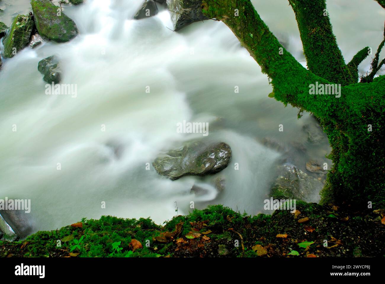 River landscape in Vorarlberg region, Austria Stock Photo