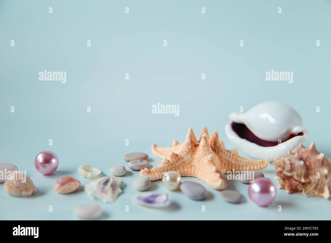 Seashells, starfish and pearls on a gray background. Tropical summer background, free space for your decoration. Stock Photo