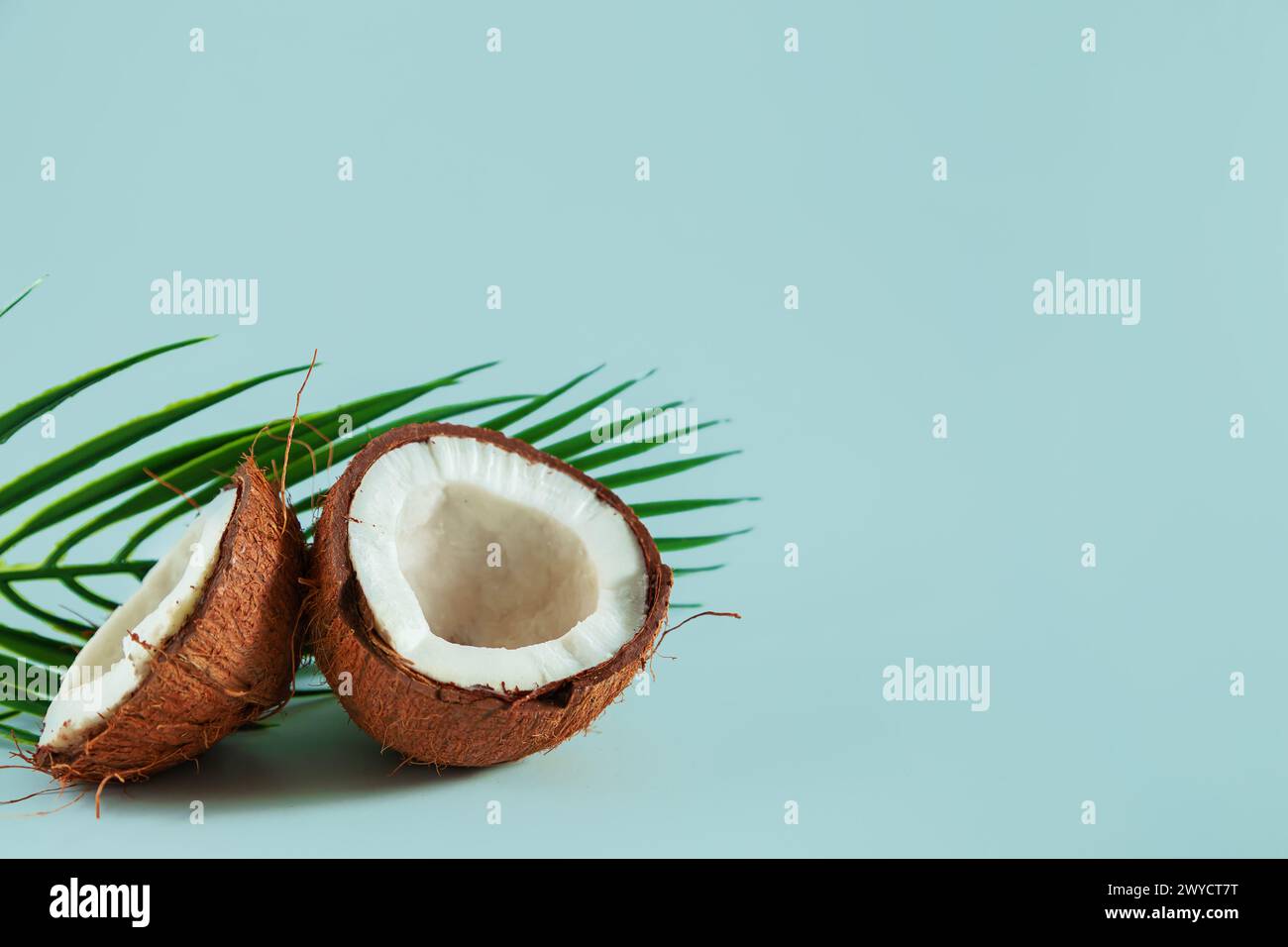 Broken coconut and palm leaf on a blue background. Summer background, copy space. Stock Photo