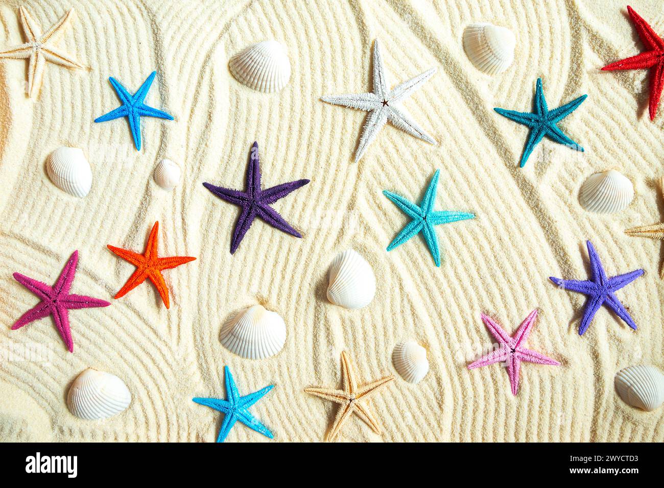 Colored starfish and shells on white fine sand. Summer background,  flat lay. Stock Photo