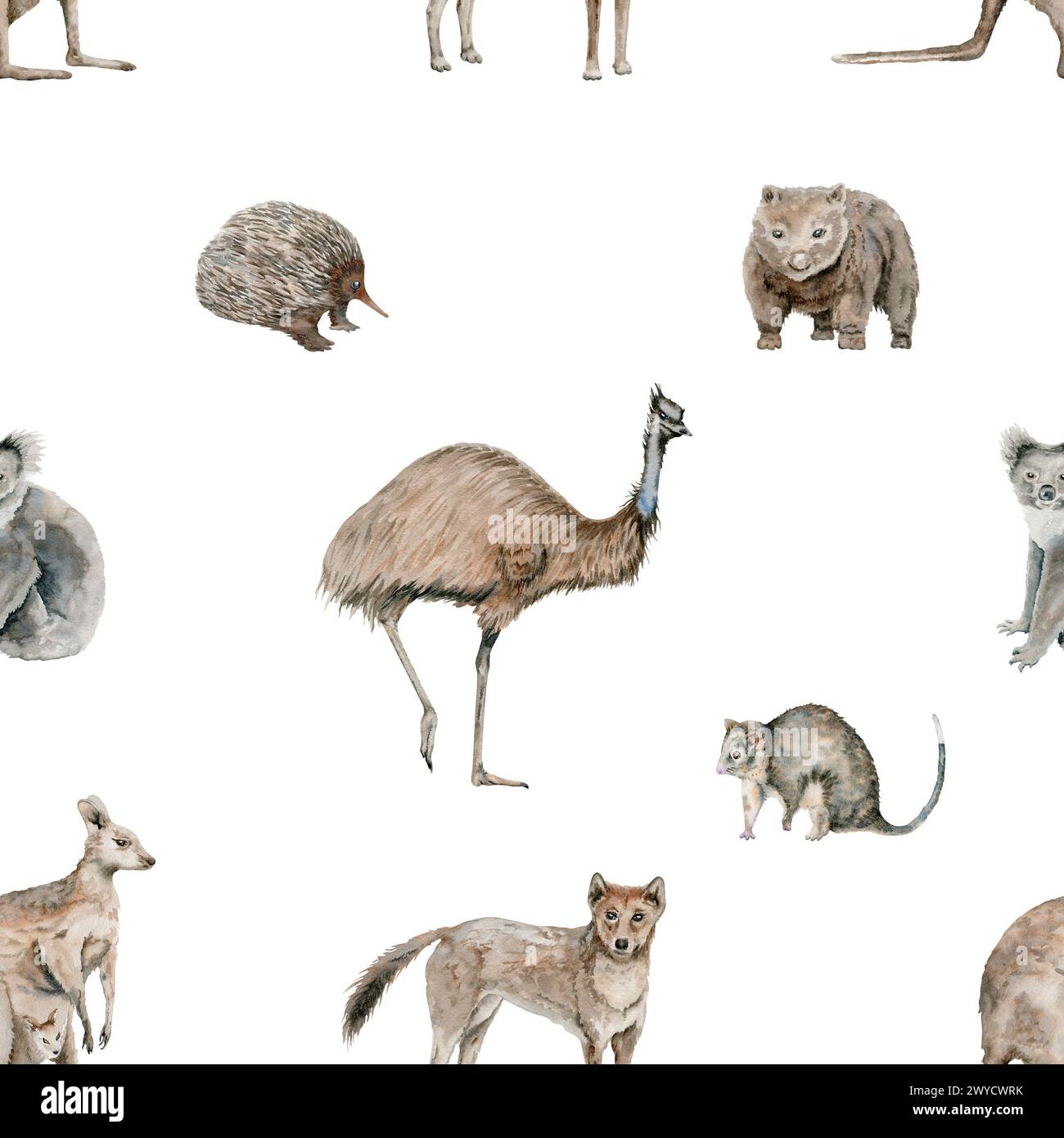 Emu and kangaroo seamless pattern  with dingo and possum. Koala and wombat watercolor illustration. Australian native animals background. Hand drawn Stock Photo