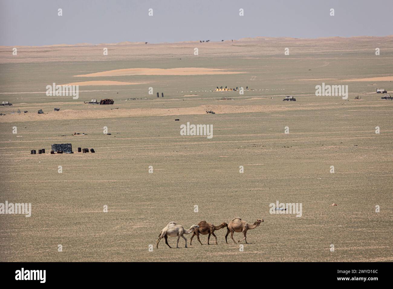 Kuwait Ranges An aerial gunnery range is being cleared in preparation for ...