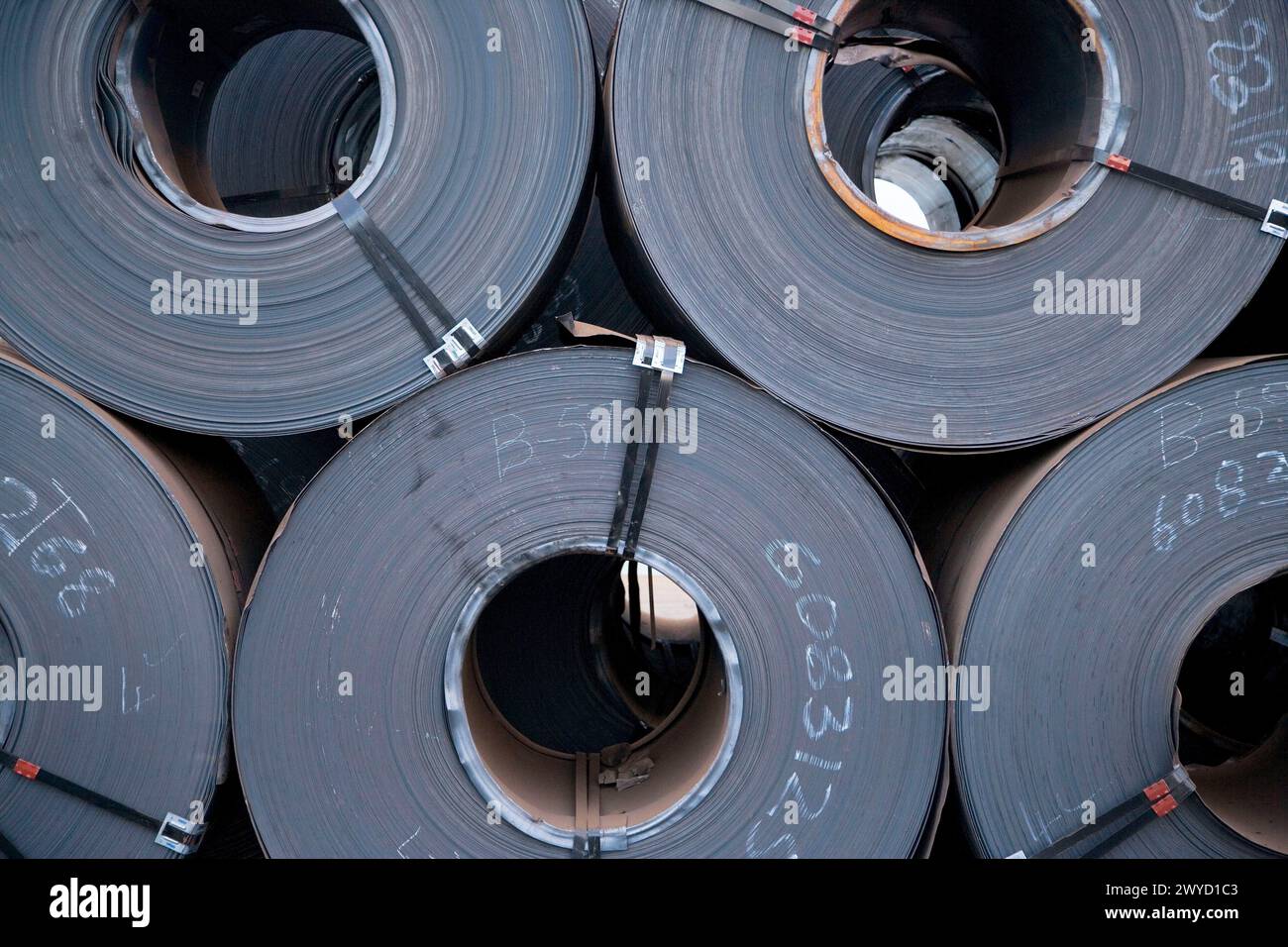 Steel sheet rolls, Port of Bilbao, Santurtzi. Biscay, Euskadi, Spain. Stock Photo