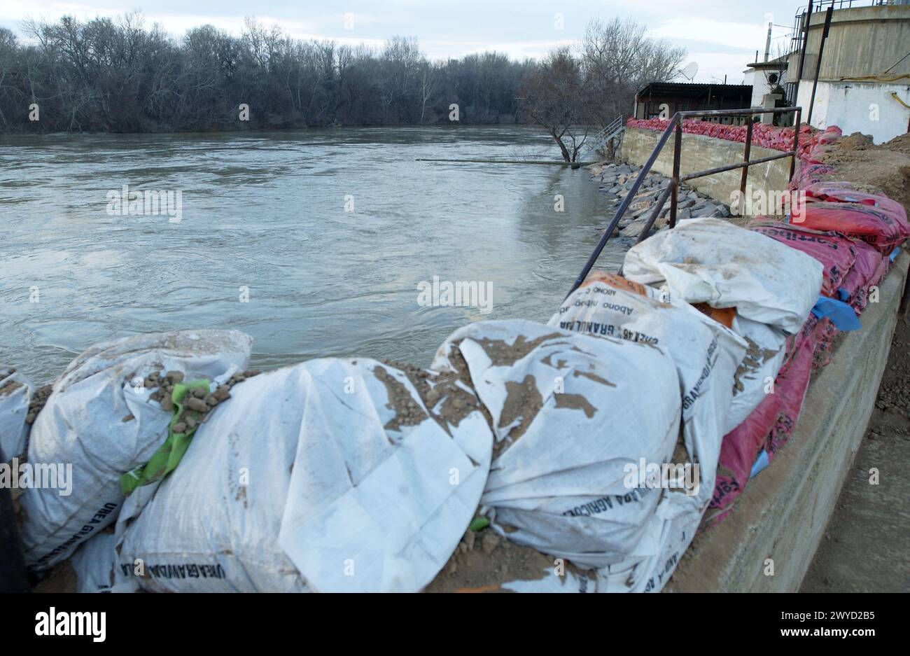 Ebro River floodings. Feb. 2003. Cabañas de Ebro, Zaragoza province. Spain. Stock Photo