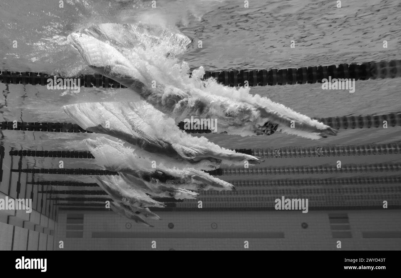 LONDON, UNITED KINGDOM. 05 April, 2024.  (PHOTOGRAPHER NOTE: Image has been converted to black and white.) A general underwater view of the competitors dive in for the Women's MC 400m Freestyle - Heats during The Speedo Aquatics GB Swimming Championships 2024 - Day 4 at London Aquatics Centre on Friday, 05 April, 2024. LONDON ENGLAND. Credit: Taka G Wu/Alamy Live News Stock Photo