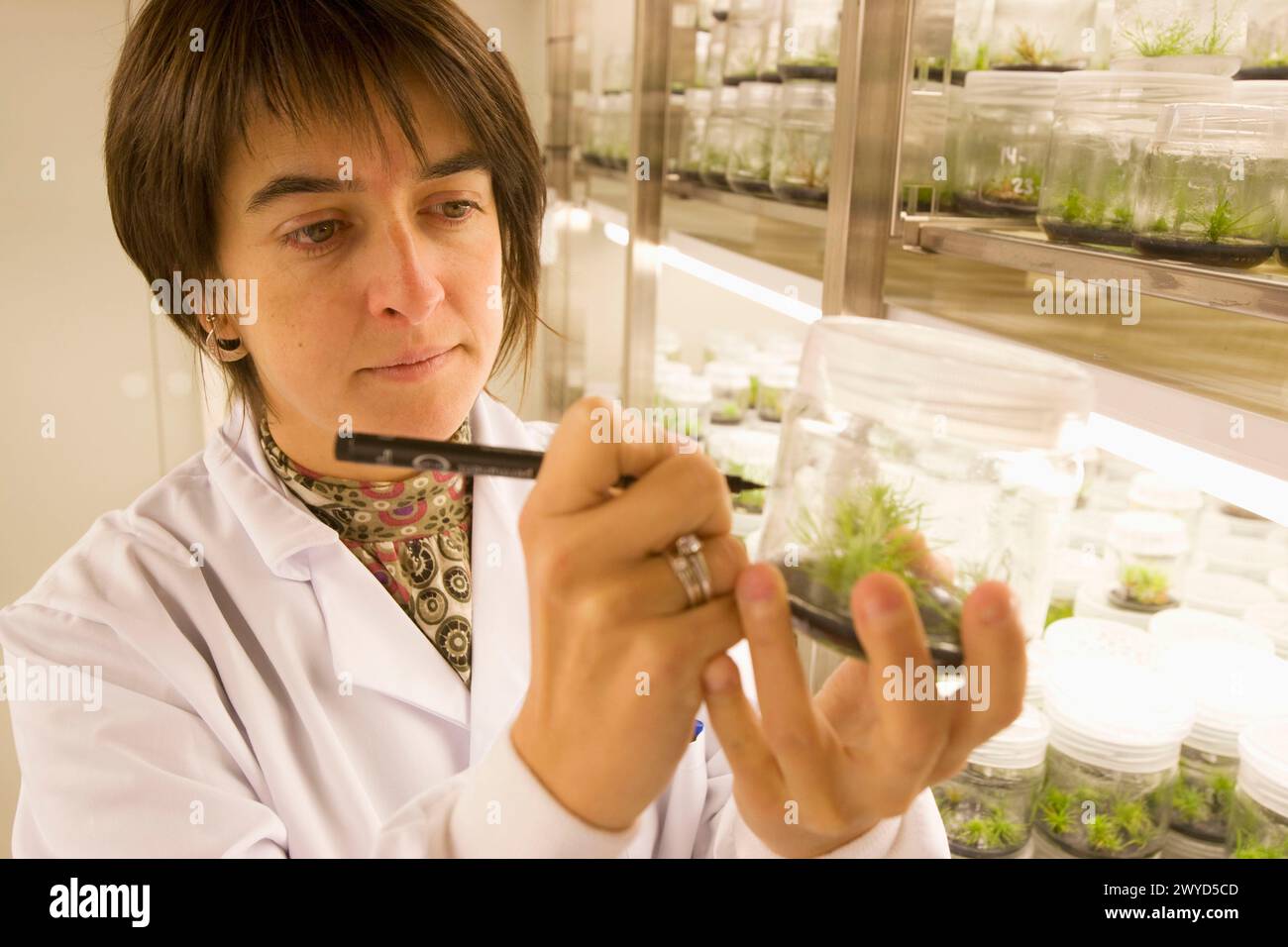 Planta de laboratorio hi-res stock photography and images - Alamy