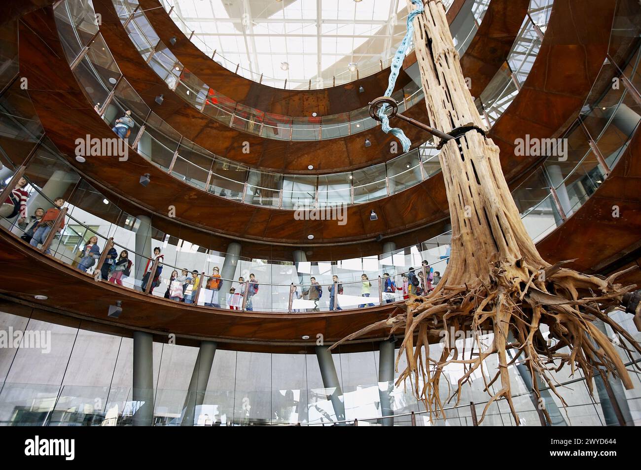 Arbol de interior hi-res stock photography and images - Alamy