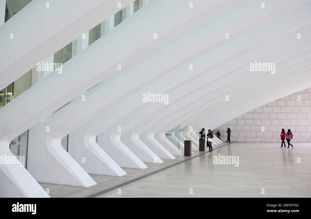 Palacio de Congresos (Conference and Exhibition centre), Conference and ...