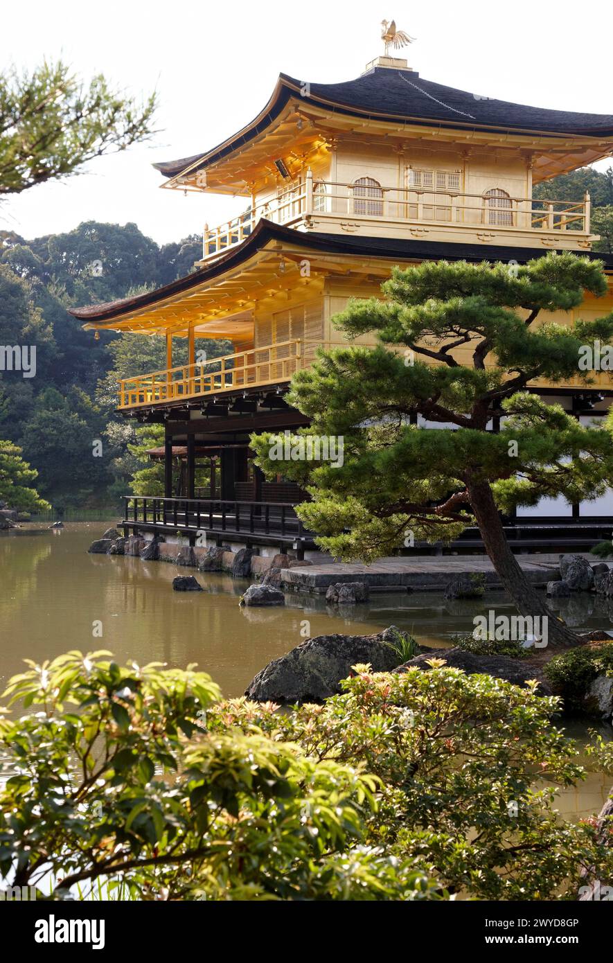 Kinkakuji Temple, The Golden Pavilion, Rokuon-ji temple, Kyoto, Japan. Stock Photo