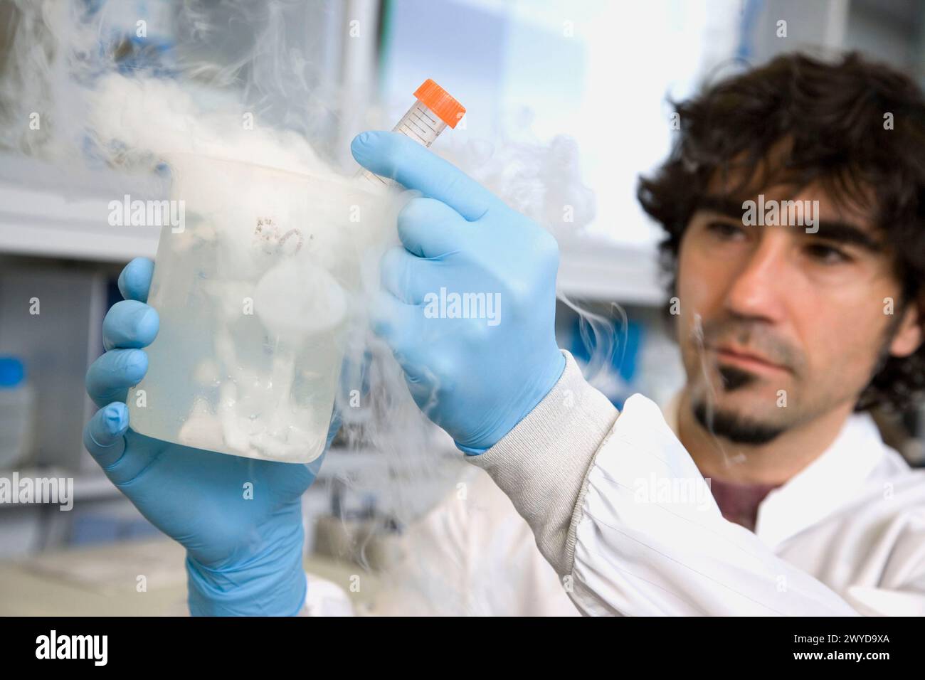 Dry ice frozen samples, culture room, biopharmaceutical lab, development of new therapeutic