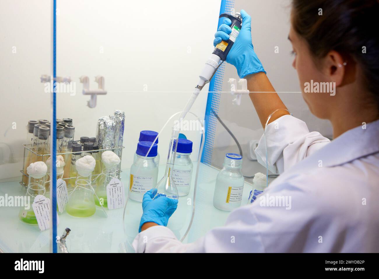 Ecotoxicity biocide test laboratory technology hi-res stock photography ...