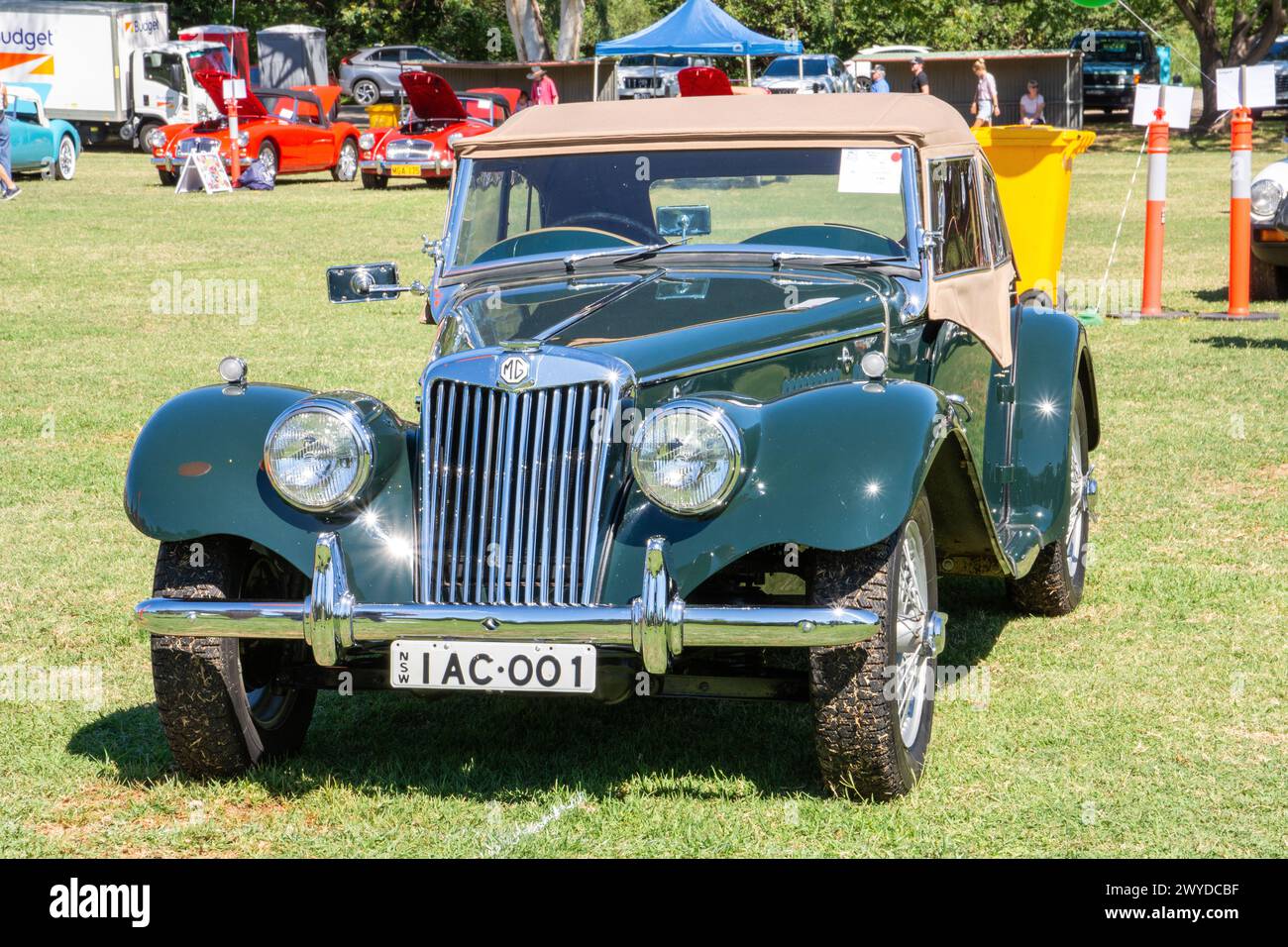 MG T Type  sports car on display at the MG Centenary National Meeting in Tamworth Australia 30th March 2024. Stock Photo