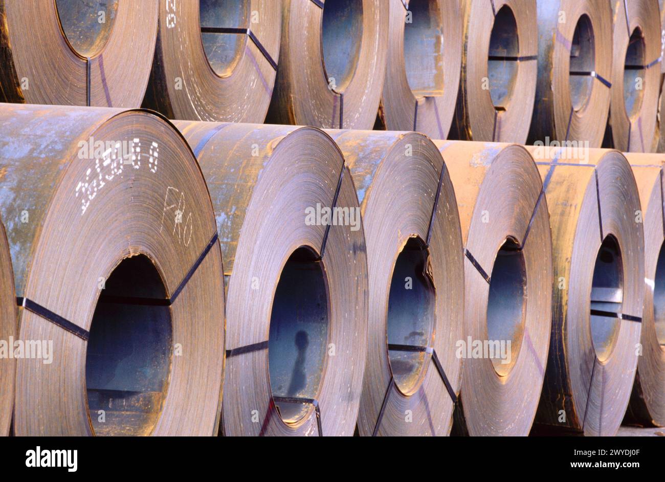 Steel sheet rolls. Bilbao. Spain. Stock Photo