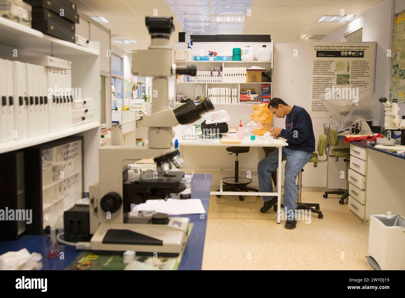 Investigacion desarrollo hi-res stock photography and images - Alamy
