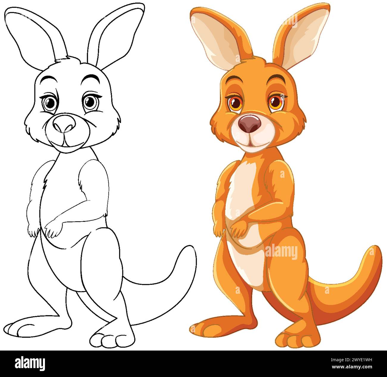 Illustration of a kangaroo from line art to color stock vector image