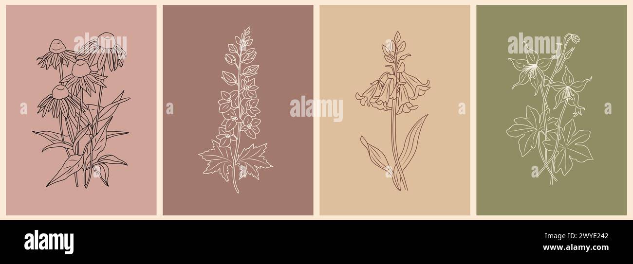 Set of wild flowers outline drawings wall art. Stock Vector