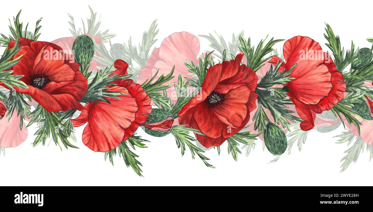 Red poppies with buds and leaves. Hand-drawn watercolor illustration ...