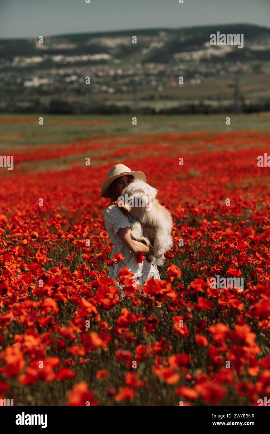 Field of poppies woman dog. Happy woman in a white dress and hat stand ...