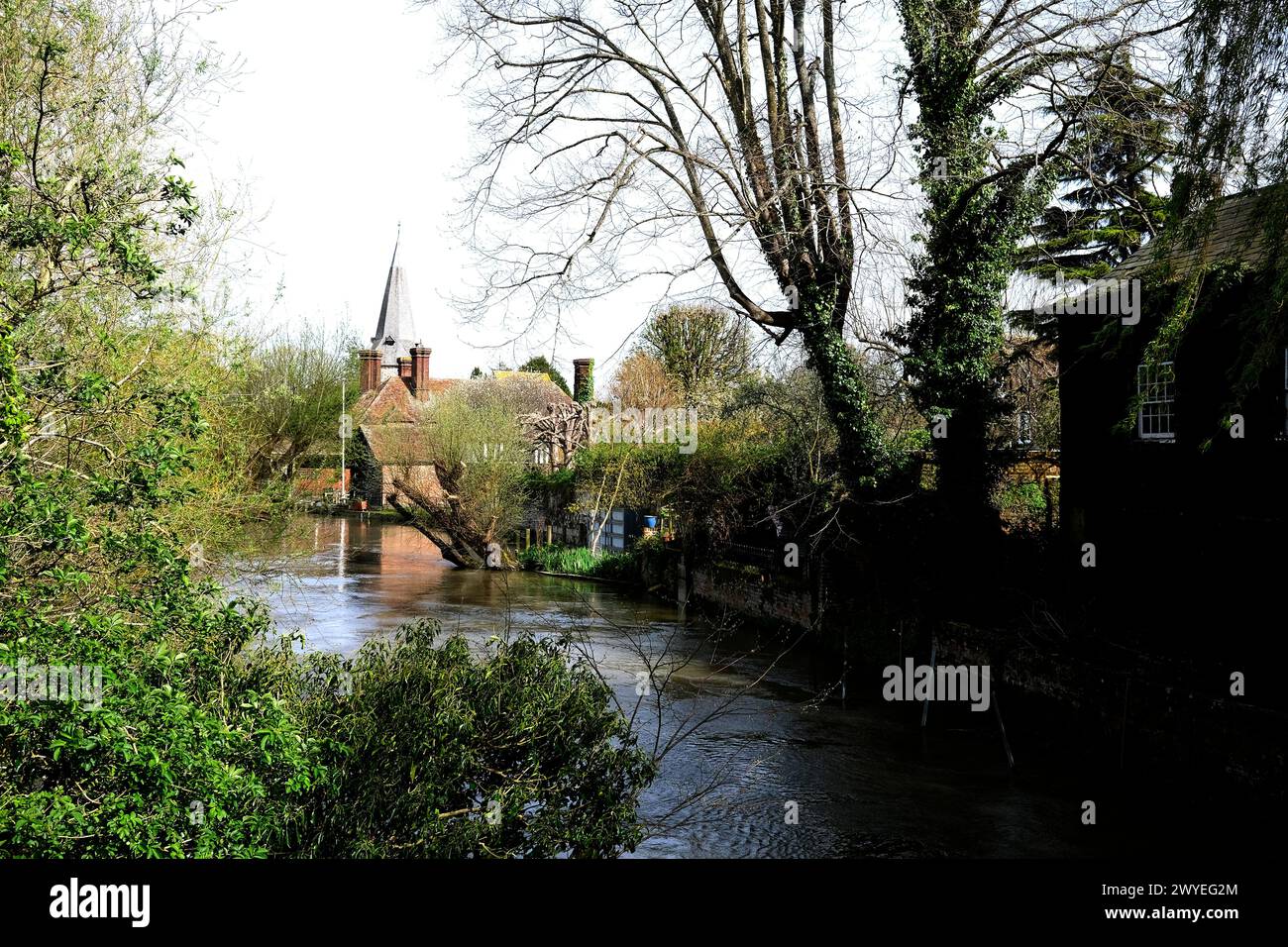 fordwich town in canterbury, with river stour and trees,fordwich,kent