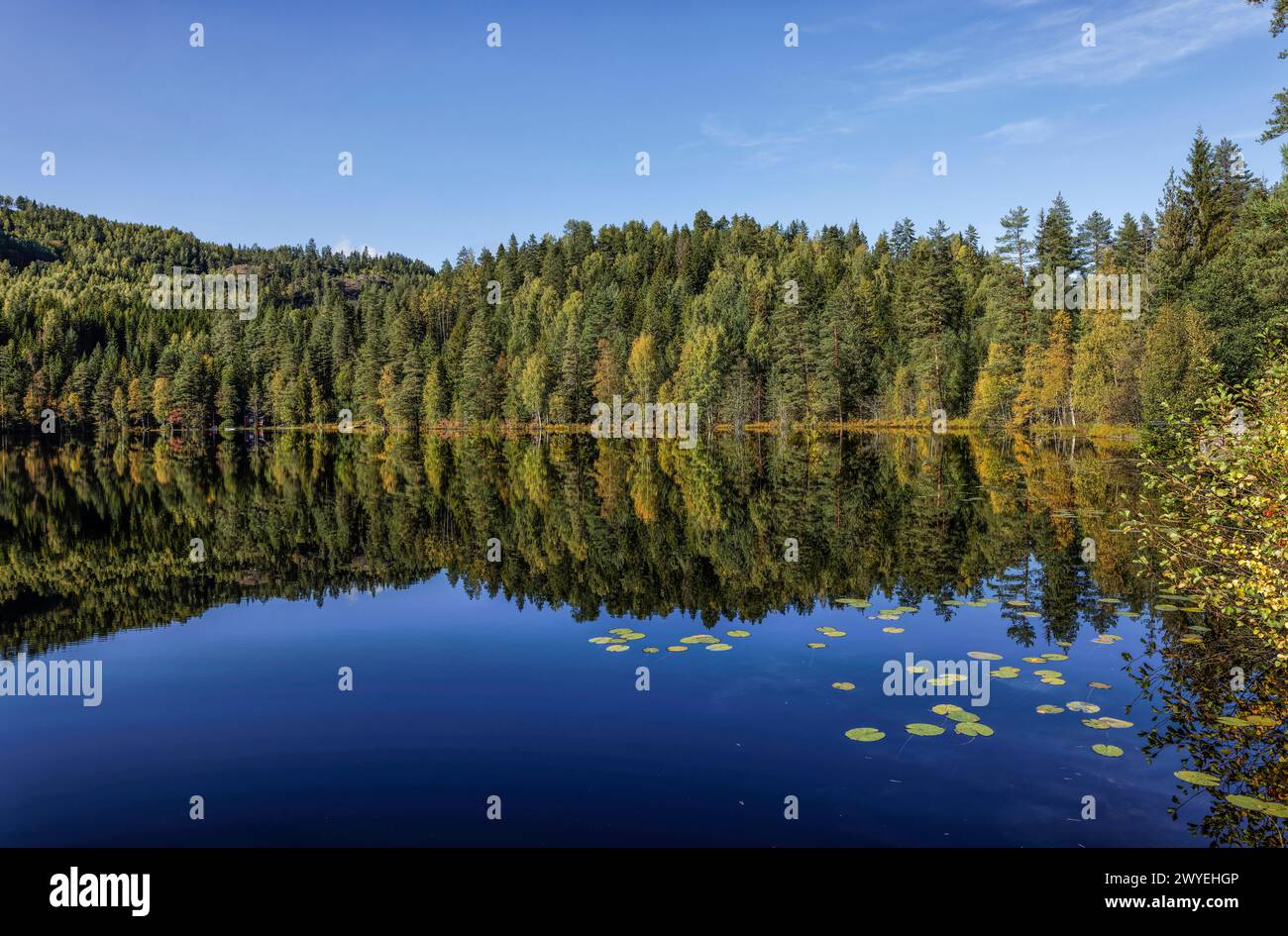 Reflections in tranquil, peaceful, serene Butjern lake on Skuterudåsen hill near Cobalt Mine, Malmveien, Åmot, Buskurud, Norway Stock Photo