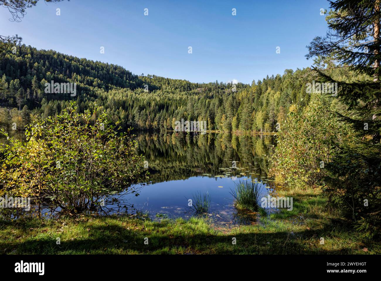 Reflections in tranquil, peaceful, serene Butjern lake on Skuterudåsen hill near Cobalt Mine, Malmveien, Åmot, Buskurud, Norway Stock Photo