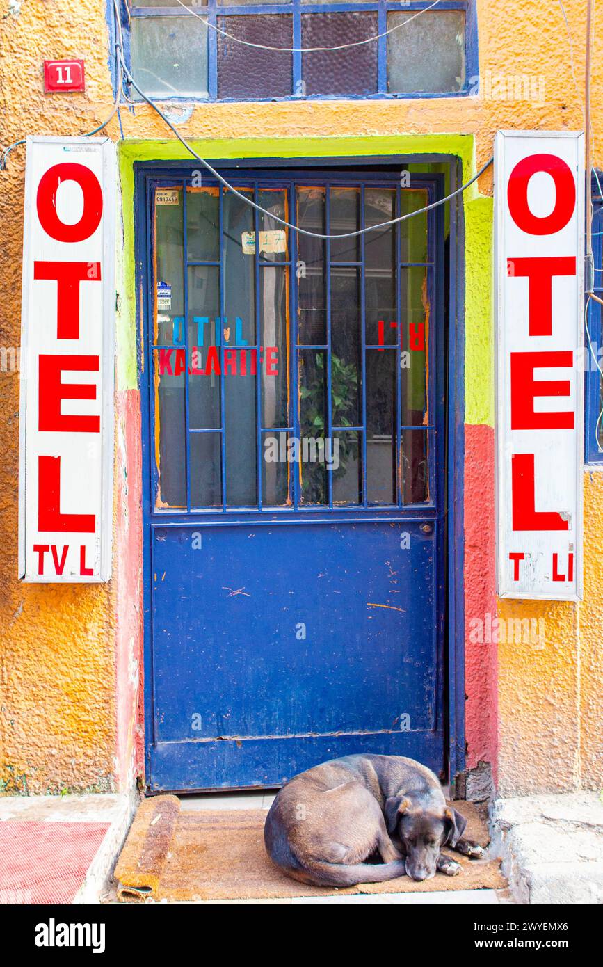 A brightly coloured basic hotel in Istanbul with a sleeping dog in the entrance Stock Photo