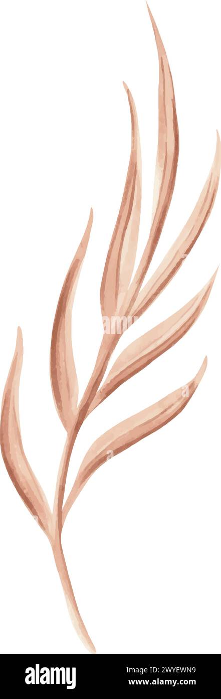 Watercolor twig with leaves, branch monochrome hand drawn illustration in brown. Garden plant isolated element. Vintage floral drawing template for te Stock Vector
