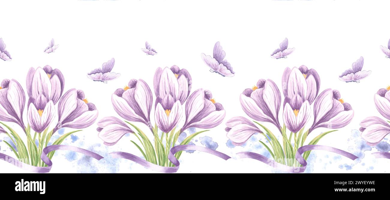 Violet crocuses with butterflies and ribbons seamless border. Hand drawn watercolor illustration spring saffron flower blossom Template background for Stock Photo