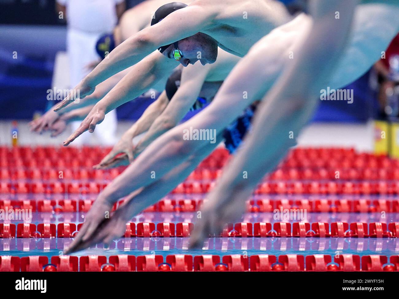 Daniel Gencas in action during the Men's 50m Freestyle Heats on day