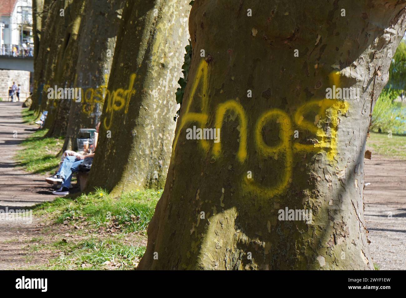 Das Wort Angst als Graffiti an mehrere Bäume gesprüht, Platanenallee in Tübingen, Baden-Württemberg, Deutschland *** The word Angst sprayed as graffit Stock Photo