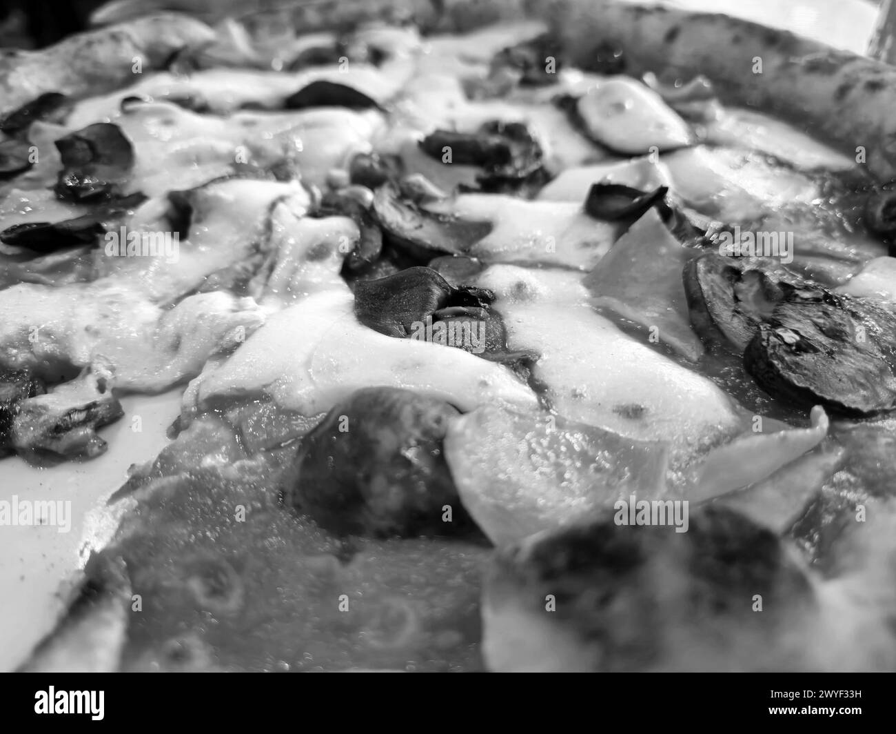 Tasty pizza close view background. Black and white pizza photo Stock Photo