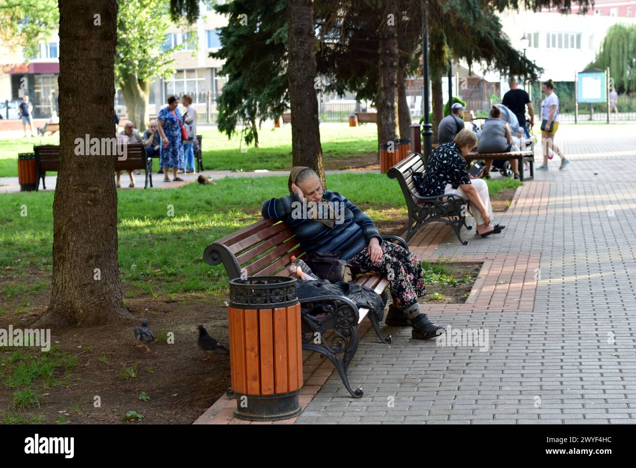 Woman sleeping on park bench hi-res stock photography and images - Alamy