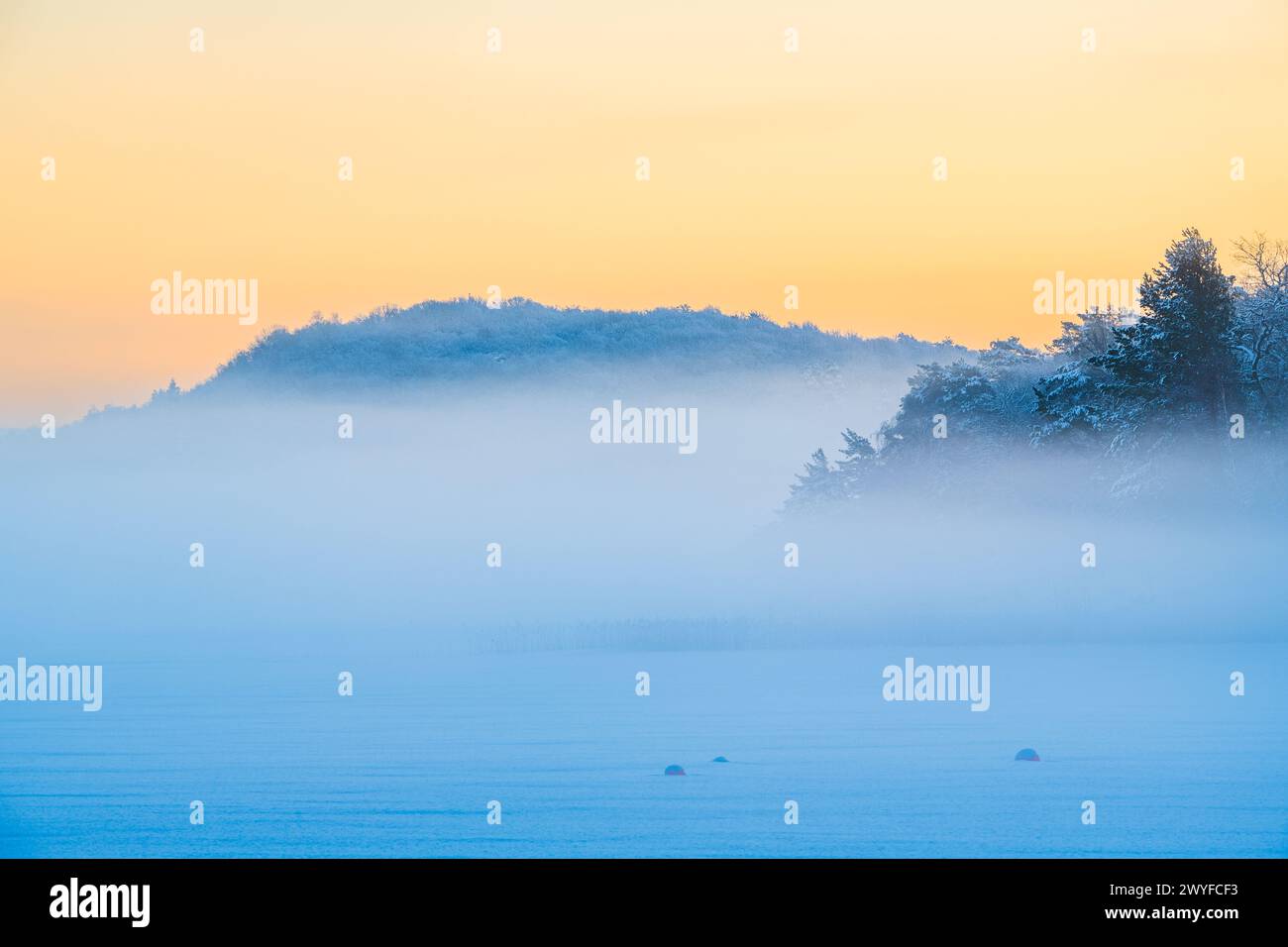 A mist-covered lake reflecting the early morning light, with trees lining the shore and disappearing into the foggy distance. The serene scene is shro Stock Photo