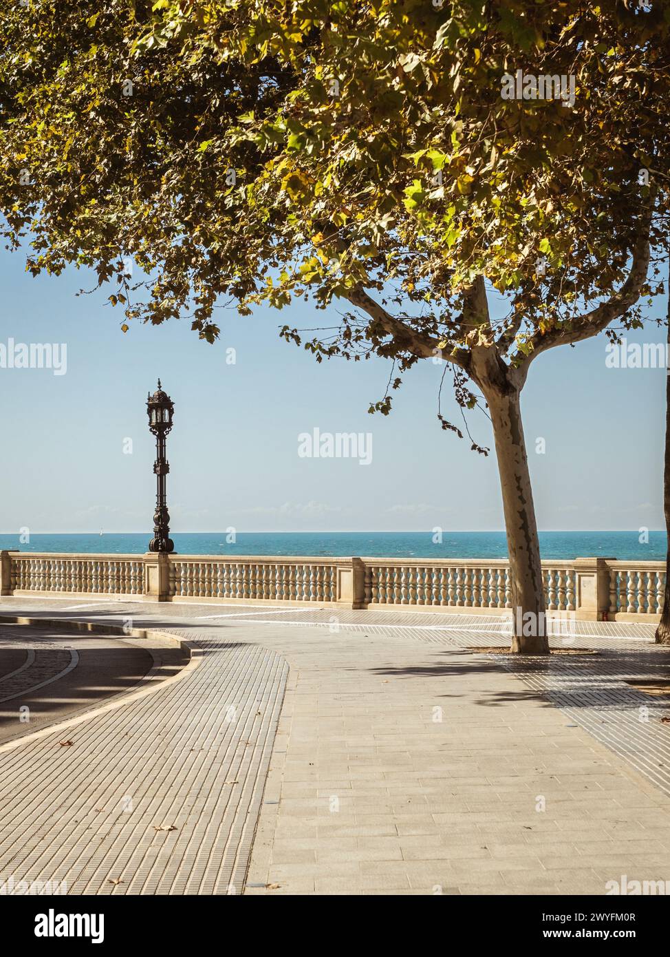 View of the seaside beach promenade of Cadiz under trees and lanterns during a summer vacation, sea view, blue horizon, sunshine Stock Photo