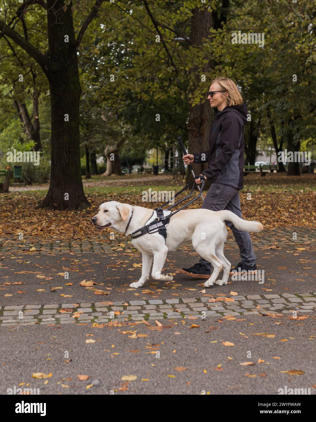 Woman with visual impairment walking with her guide dog through the