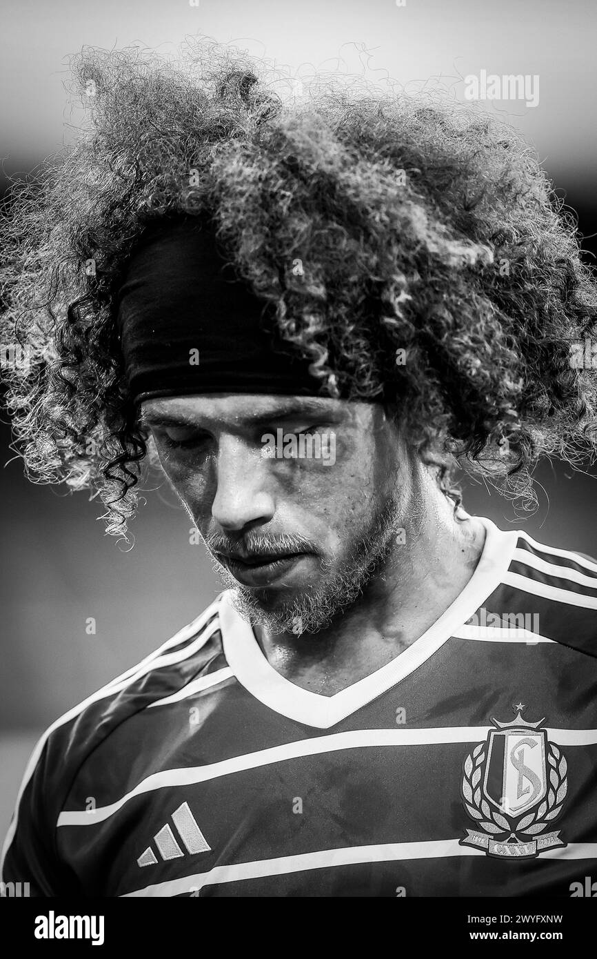 Standard de liege 2024 Black and White Stock Photos & Images Alamy