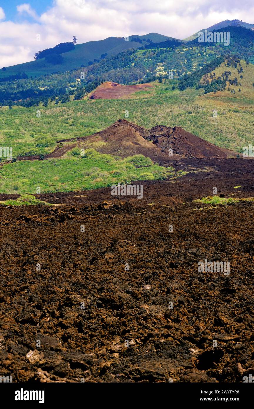 Maui, Hawaii, USA - Last Volcanic Eruption, 1790, Pu'u Ola'i, southwest Maui. Stock Photo
