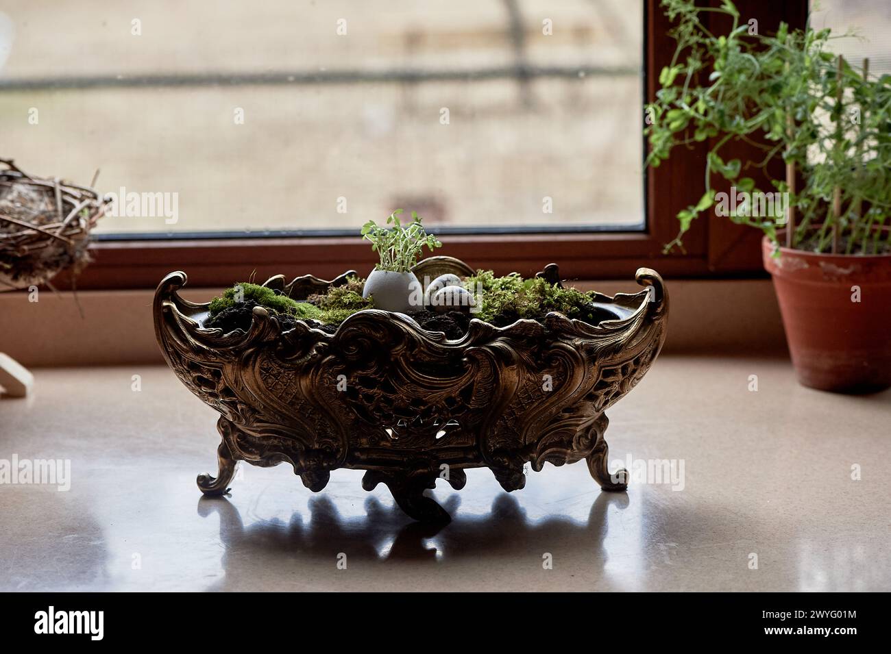 A massive bronze vase on legs with moss, greenery sprouted in an egg. A new life Stock Photo