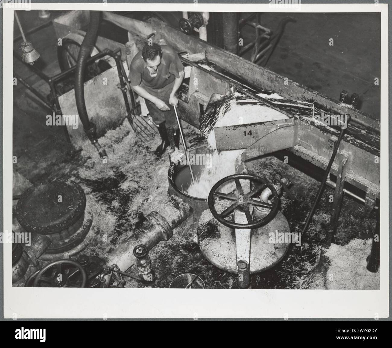 Loading diffusion chamber with sugar beet pulp in factory at Brighton, Colorado 1937 Stock Photo